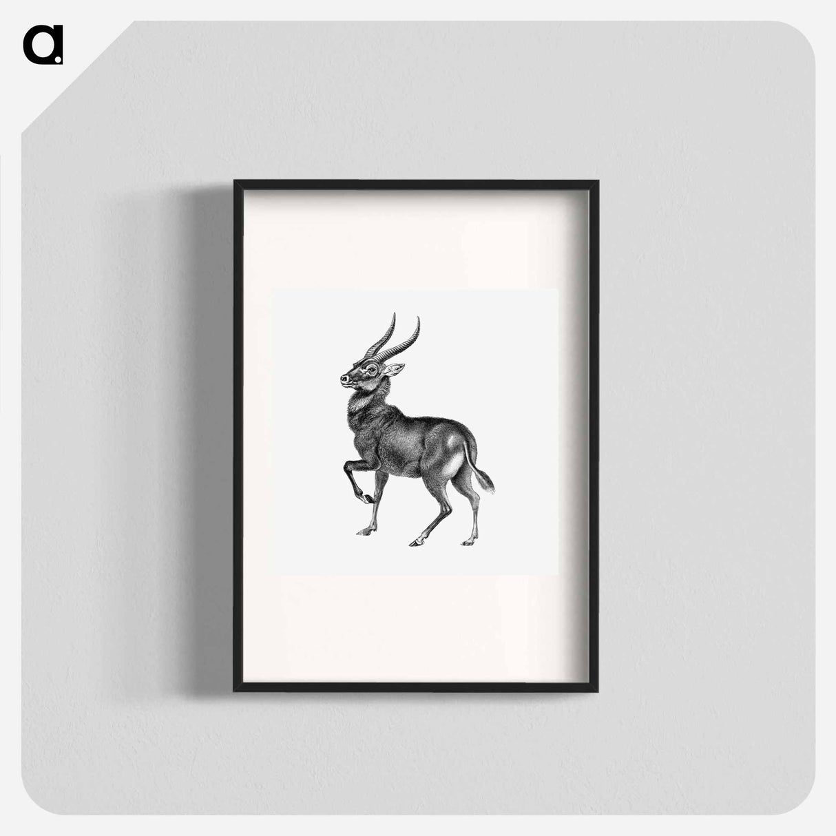 Vintage antelope wildlife illustration - エルンスト ヘッケル Poster.