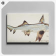 1-78_Frank-Edward-Clarke_canvas