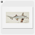 1-78_Frank-Edward-Clarke_picture