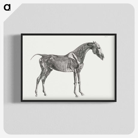 1-78_George-Stubbs_blk-crop