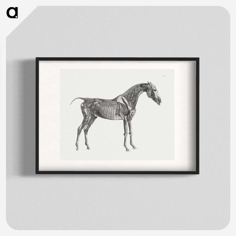 1-78_George-Stubbs_blk