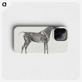 1-78_George-Stubbs_phone