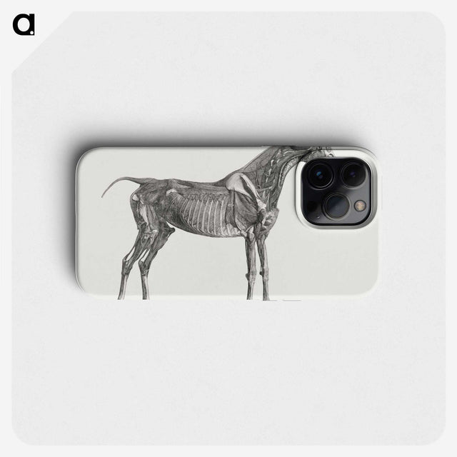 1-78_George-Stubbs_phone