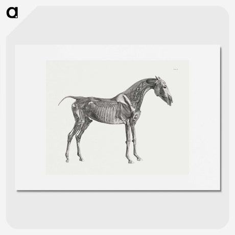 1-78_George-Stubbs_picture