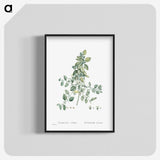 1-78_Histoire-des-Plantes-Grasses_blk-crop