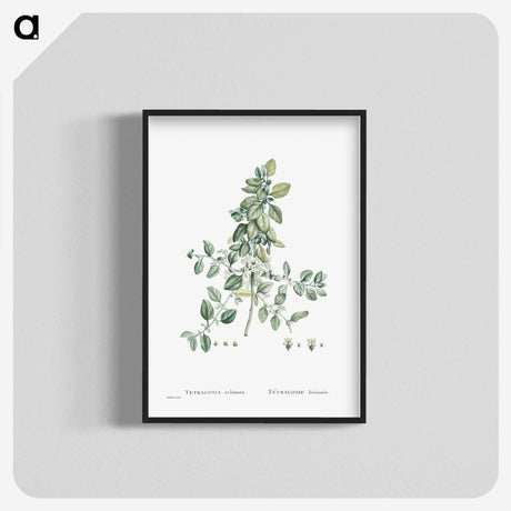 1-78_Histoire-des-Plantes-Grasses_blk-crop