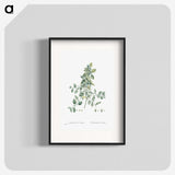 1-78_Histoire-des-Plantes-Grasses_blk