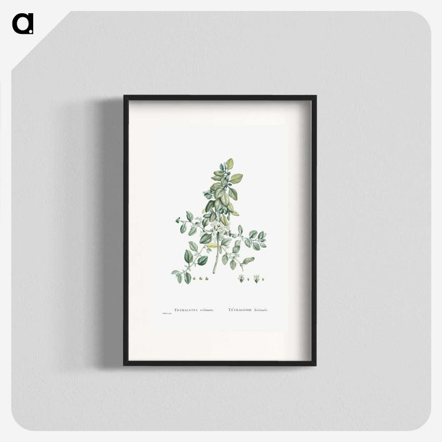 1-78_Histoire-des-Plantes-Grasses_blk