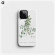 1-78_Histoire-des-Plantes-Grasses_phone