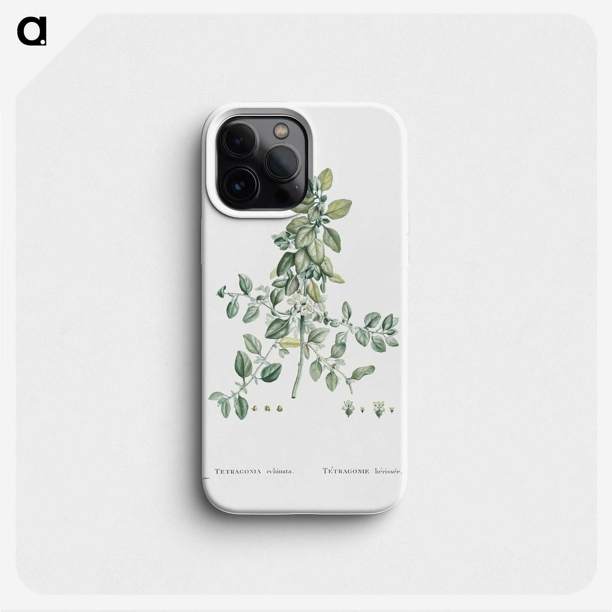1-78_Histoire-des-Plantes-Grasses_phone