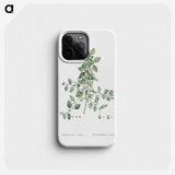 1-78_Histoire-des-Plantes-Grasses_phone