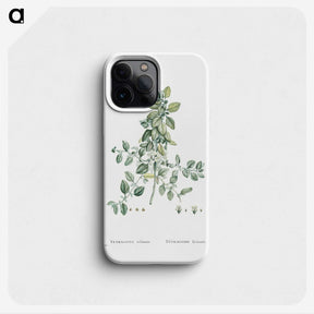 1-78_Histoire-des-Plantes-Grasses_phone
