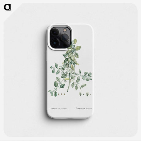 1-78_Histoire-des-Plantes-Grasses_phone