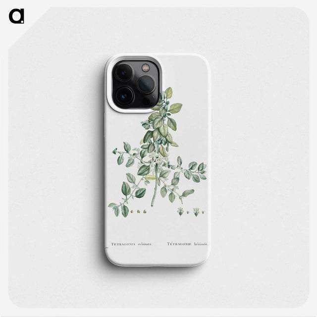 1-78_Histoire-des-Plantes-Grasses_phone