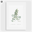 1-78_Histoire-des-Plantes-Grasses_picture