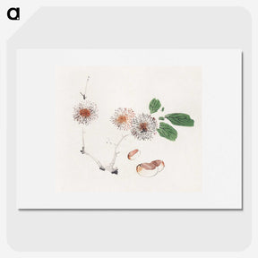 1-78_Hu-Zhengyan_picture