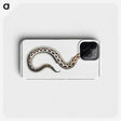 1-78_Ichtyologie-ou-Histoire-naturelle_phone
