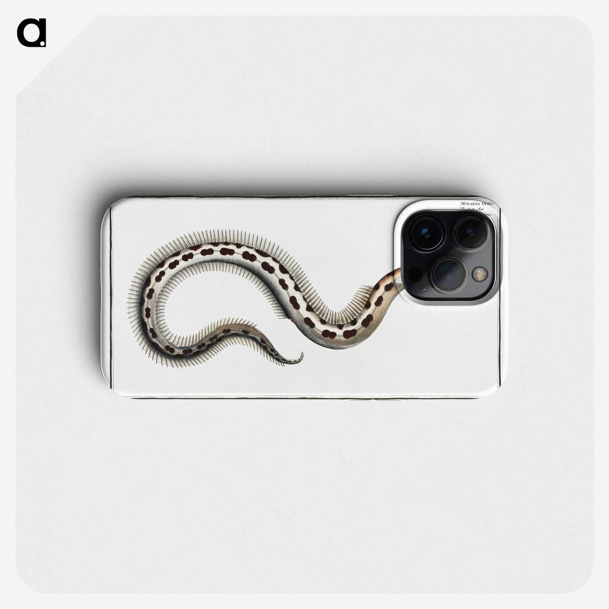 1-78_Ichtyologie-ou-Histoire-naturelle_phone