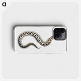 1-78_Ichtyologie-ou-Histoire-naturelle_phone