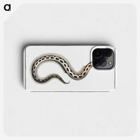 1-78_Ichtyologie-ou-Histoire-naturelle_phone