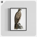1-78_Indian-Zoology_blk-crop