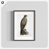 1-78_Indian-Zoology_blk