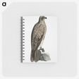 1-78_Indian-Zoology_memo