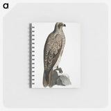 1-78_Indian-Zoology_memo