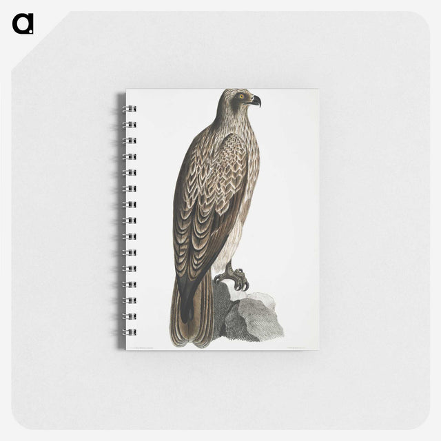 1-78_Indian-Zoology_memo