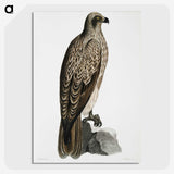 1-78_Indian-Zoology_picture-crop