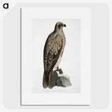 1-78_Indian-Zoology_picture