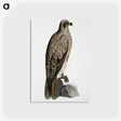 1-78_Indian-Zoology_postcard