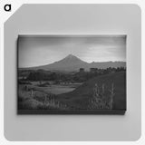 1-78_James-Walter-Chapman-Taylor_canvas