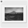 1-78_James-Walter-Chapman-Taylor_picture