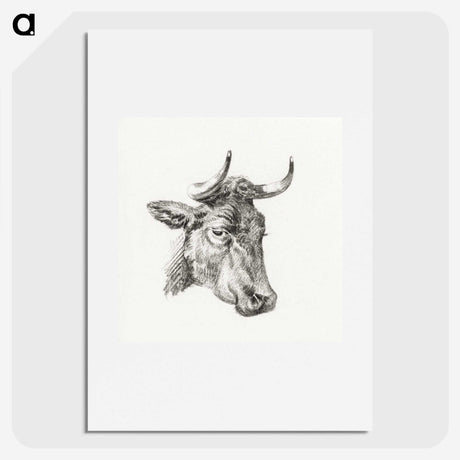 1-78_Jean-Bernard_picture