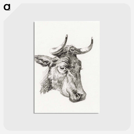 アートポストカード-Head of a cow - ジャン ベルナール Postcard.