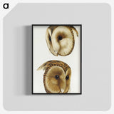 1-78_John-Gould_blk-crop