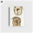 1-78_John-Gould_memo