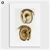 1-78_John-Gould_picture