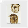 1-78_John-Gould_postcard
