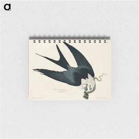 アートメモ帳-Swallow-tailed Hawk
 - ジョン ジェームス オーデュボン Memo.