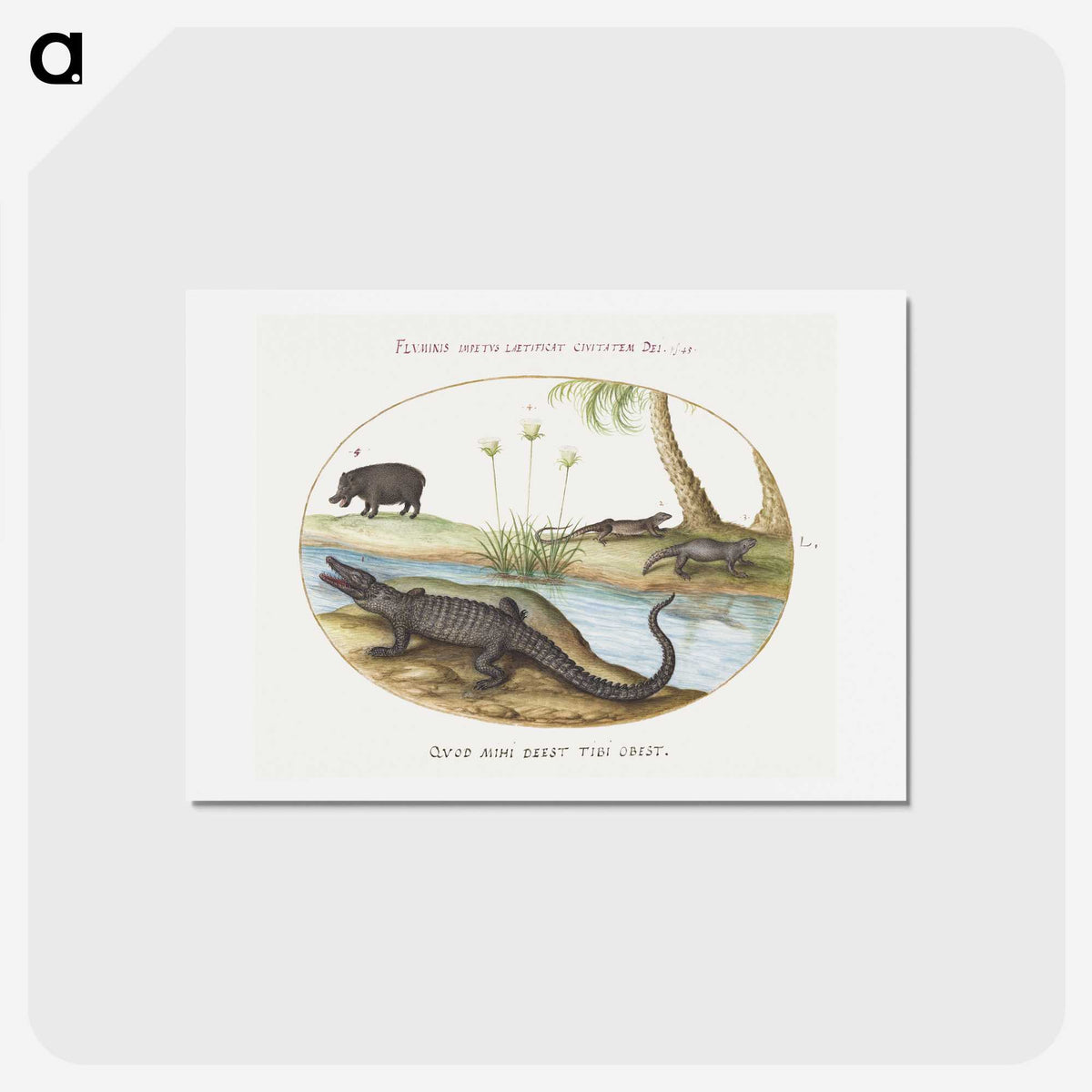 1-78_Joris-Hoefnagel_hagaki