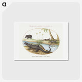 1-78_Joris-Hoefnagel_hagaki
