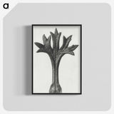 1-78_Karl-Blossfeldt_blk-crop