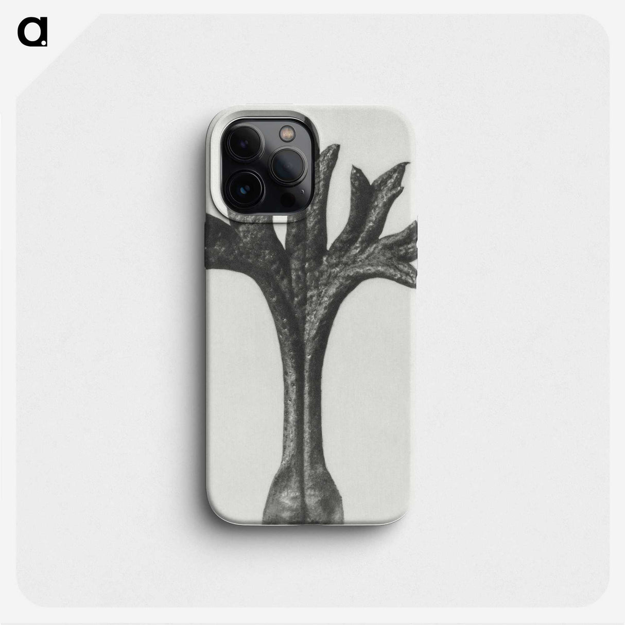 1-78_Karl-Blossfeldt_phone