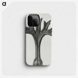 1-78_Karl-Blossfeldt_phone
