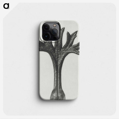 1-78_Karl-Blossfeldt_phone