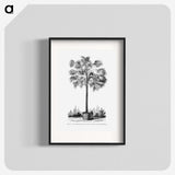 1-78_Les-Palmiers-Histoire-Iconographique_blk