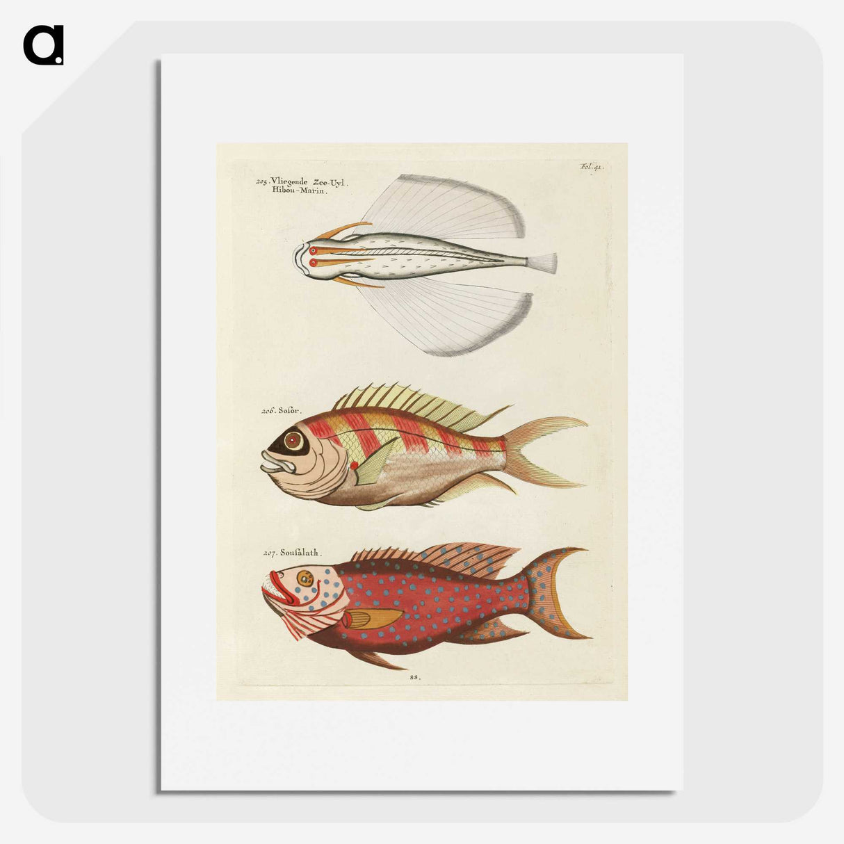 1-78_Louis-Renard_picture