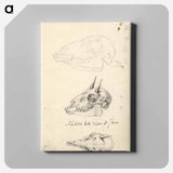 アートパネル-Three Animal Skulls
 - ルイージ バルガーニ Canvas.